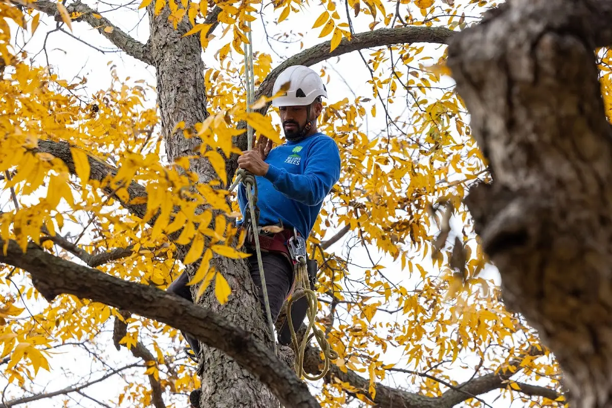 Skilled Storm Damage Cleanup crew working in Ruby